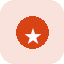 每日上新